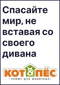 Благотворительный фонд Кот и Пёс